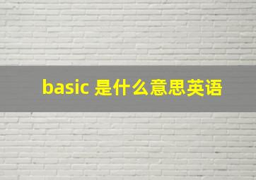 basic 是什么意思英语